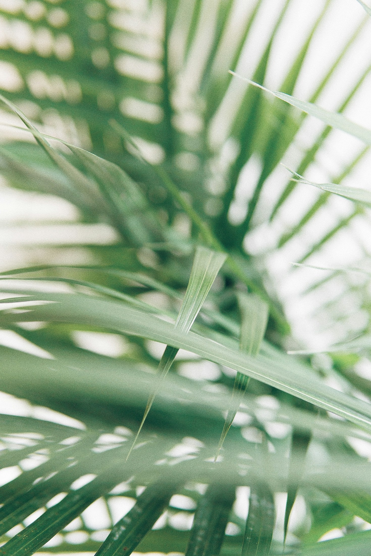 So gelingt die ökologische Gartenpflege im Sommer