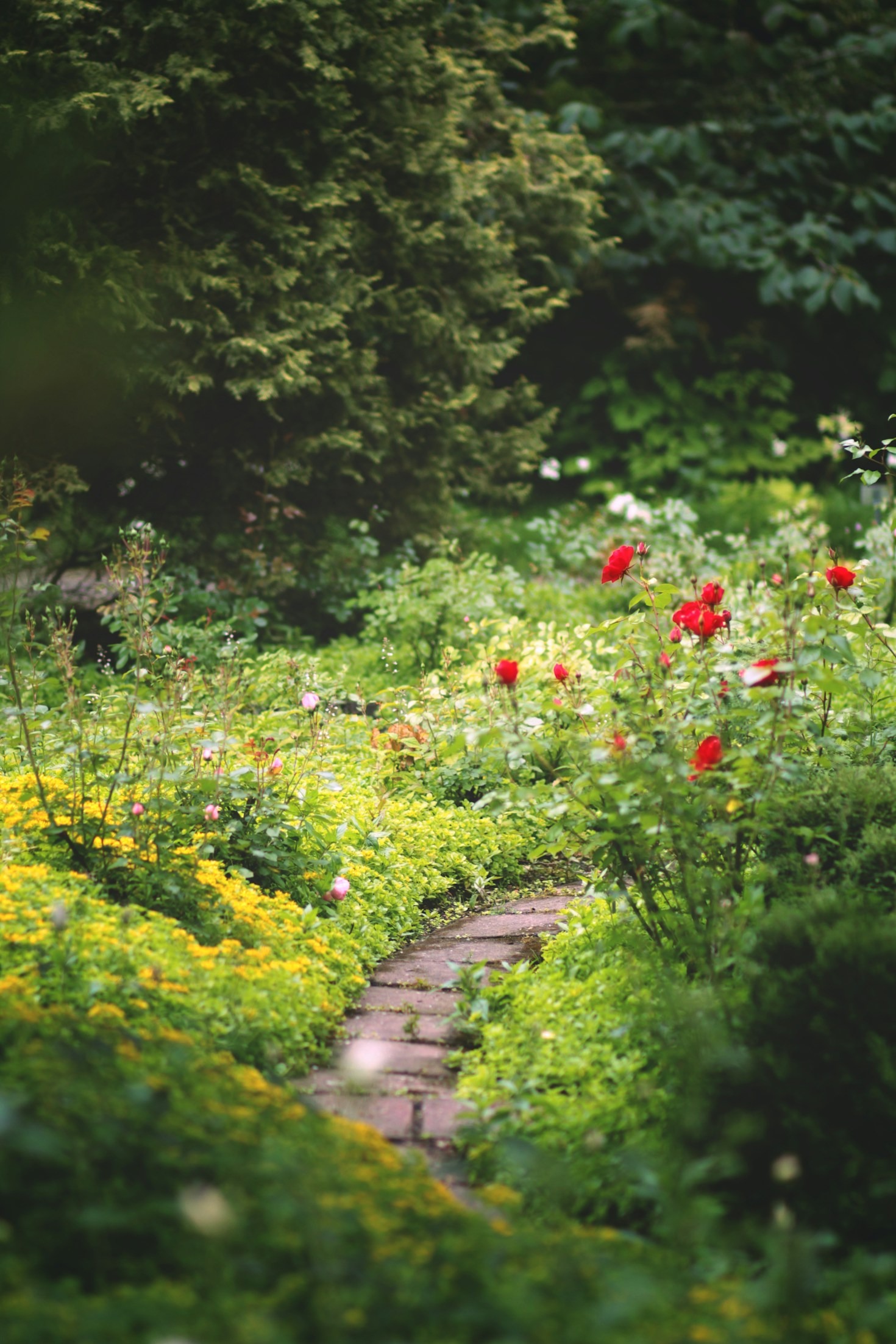 Gemeinschaft stärken durch gemeinsame Gartenprojekte